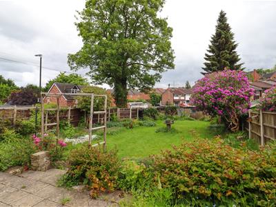 Picture 22